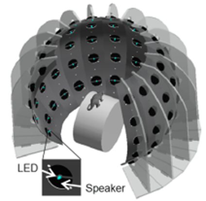 Multisensory stimulation apparatus